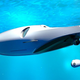 Illustration for article titled Undersea Yacht Submerges When Your Sunburn Starts Hurting
